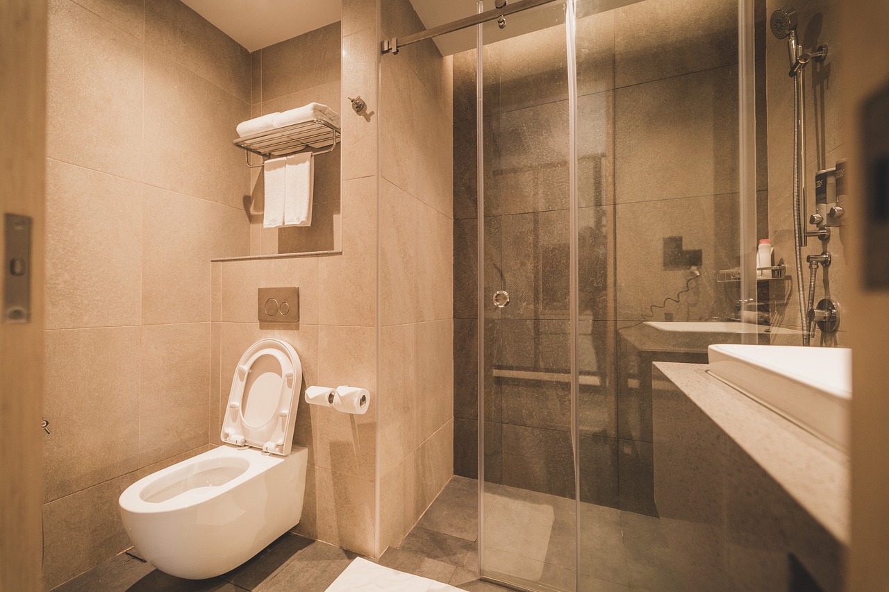 Bathroom Ceramic Restroom Clean  - tianya1223 / Pixabay
