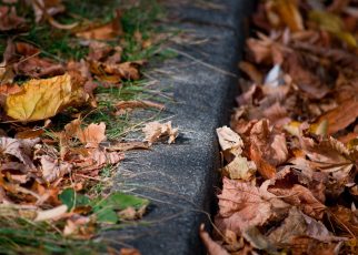 Curb Road Side Walk Pavement Fall  - athree23 / Pixabay