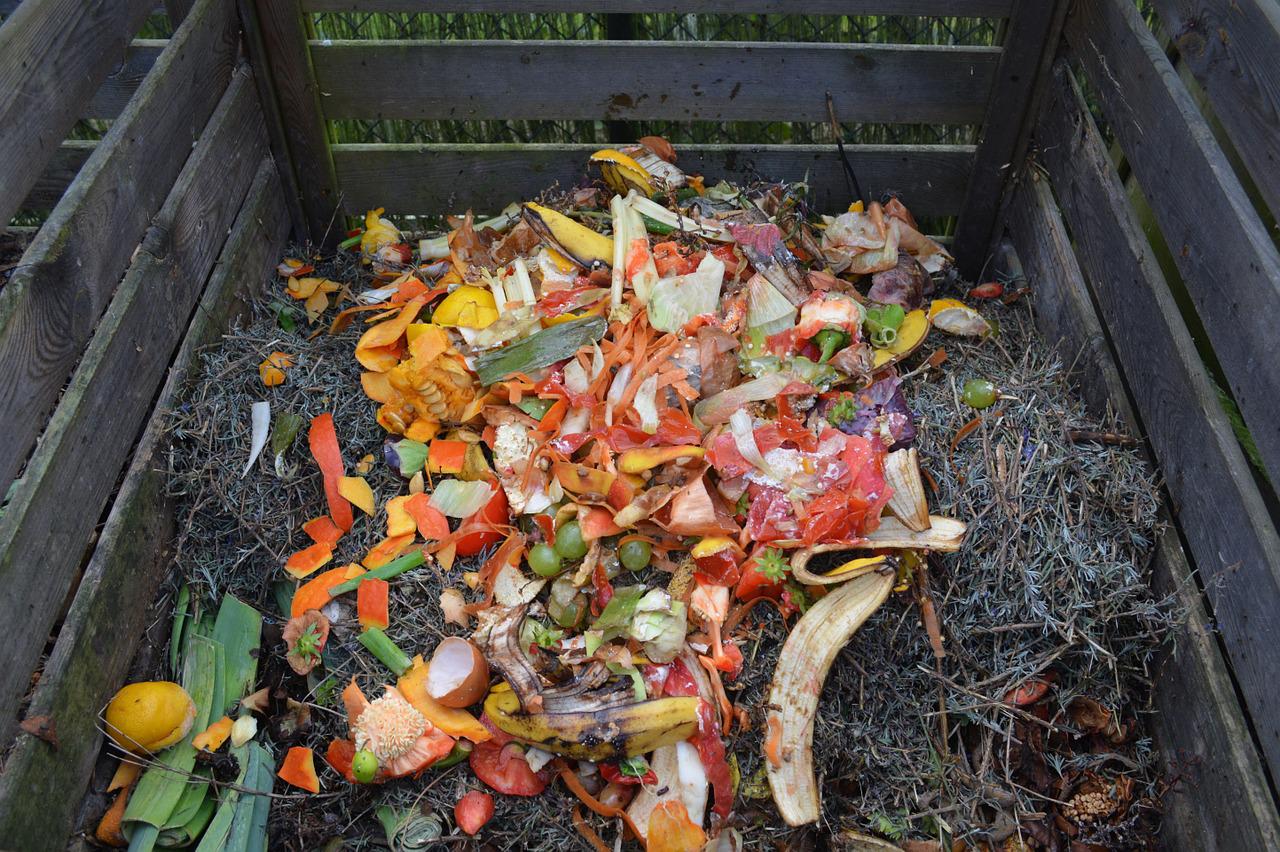 Green Waste Compost Compost Bin  - Ben_Kerckx / Pixabay