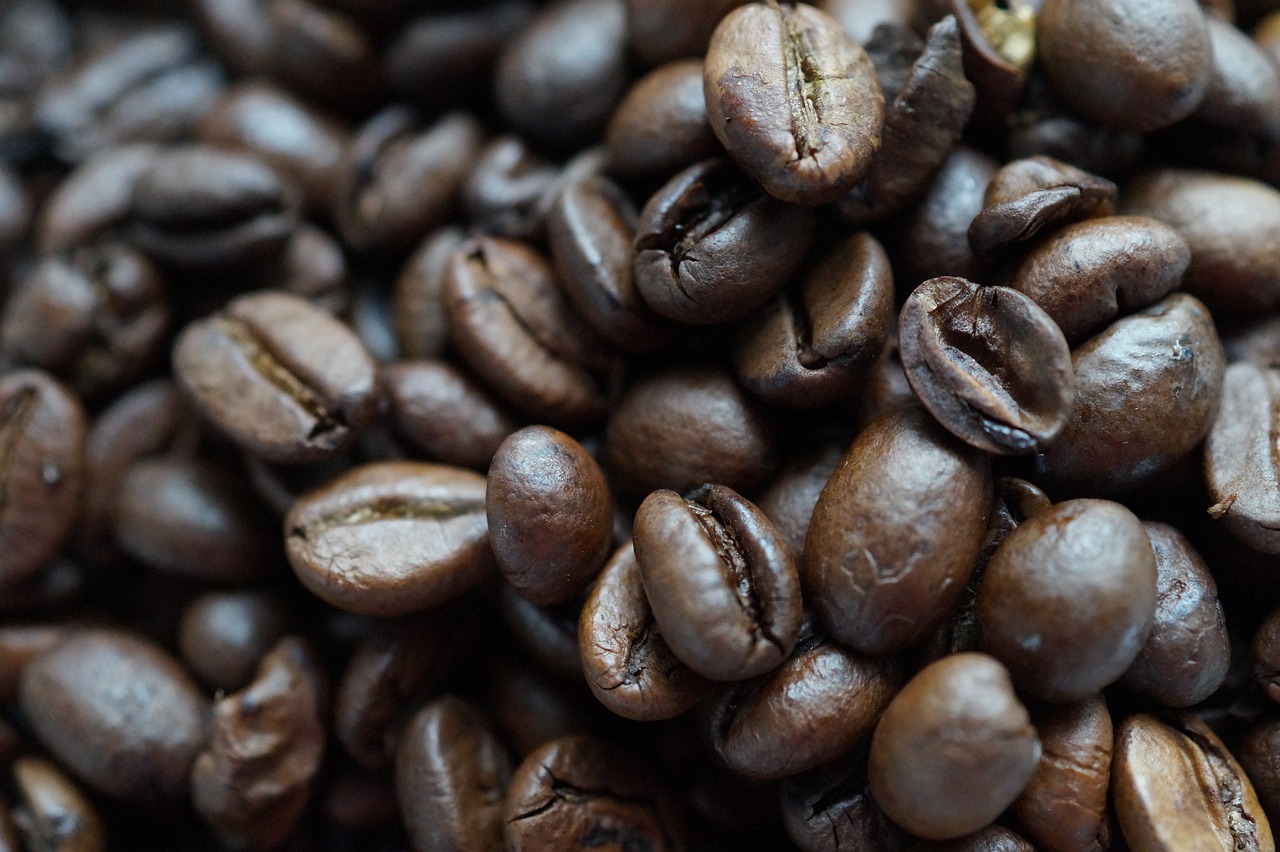 Zajímavým způsobem je příprava nejdražší káva světa, která se nazývá Luwak, v češtině také cibetková káva