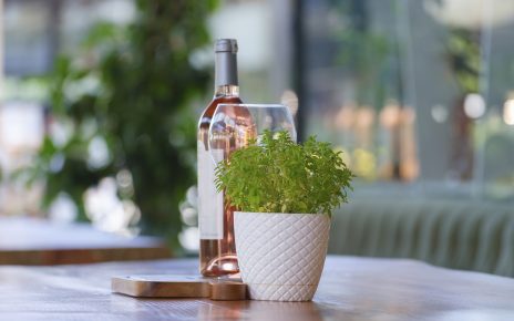 Wine Bottle Glass Champagne - Engin_Akyurt / Pixabay