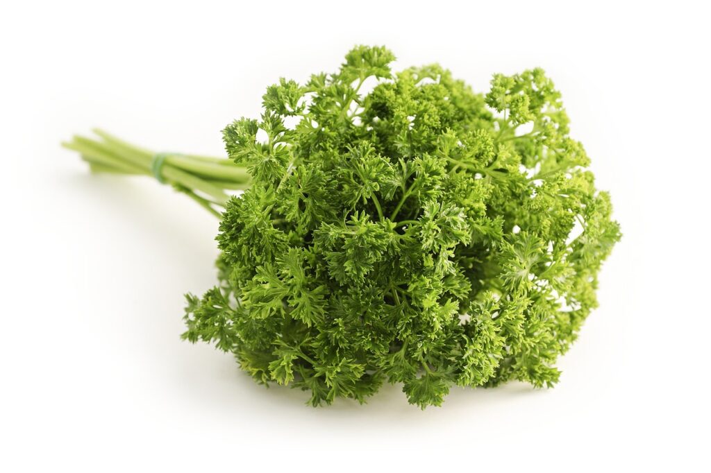 parsley, herb, food