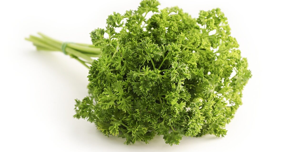 parsley, herb, food