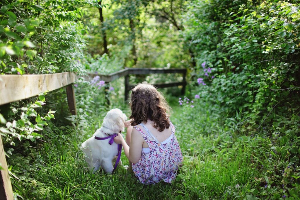 child, dog, pet